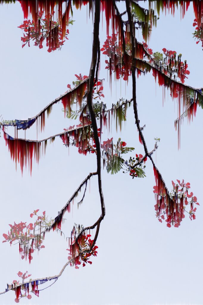 glitche, photo 2 sur 7