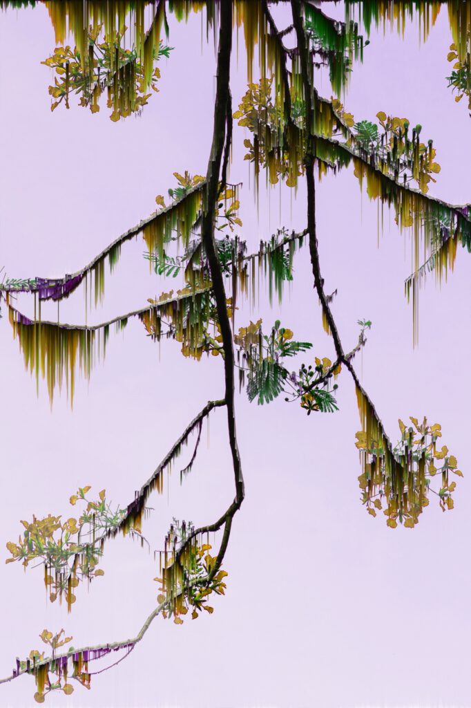 glitche, photo 3 sur 7