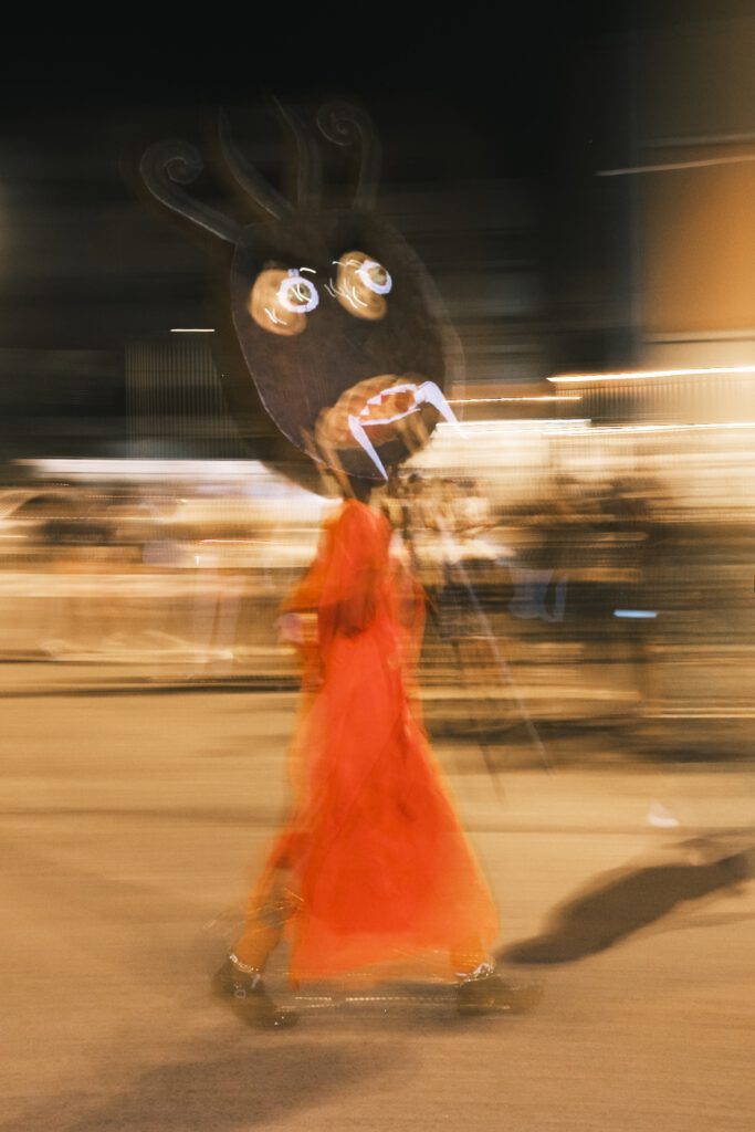 no mas carnaval, photo 3 sur 34