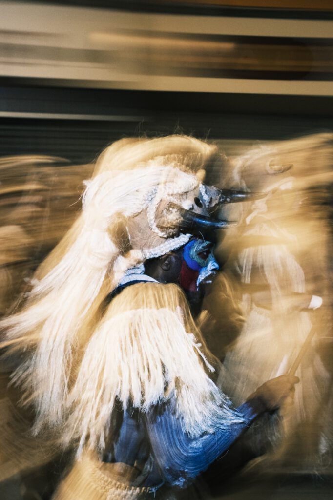 no mas carnaval, photo 26 sur 34