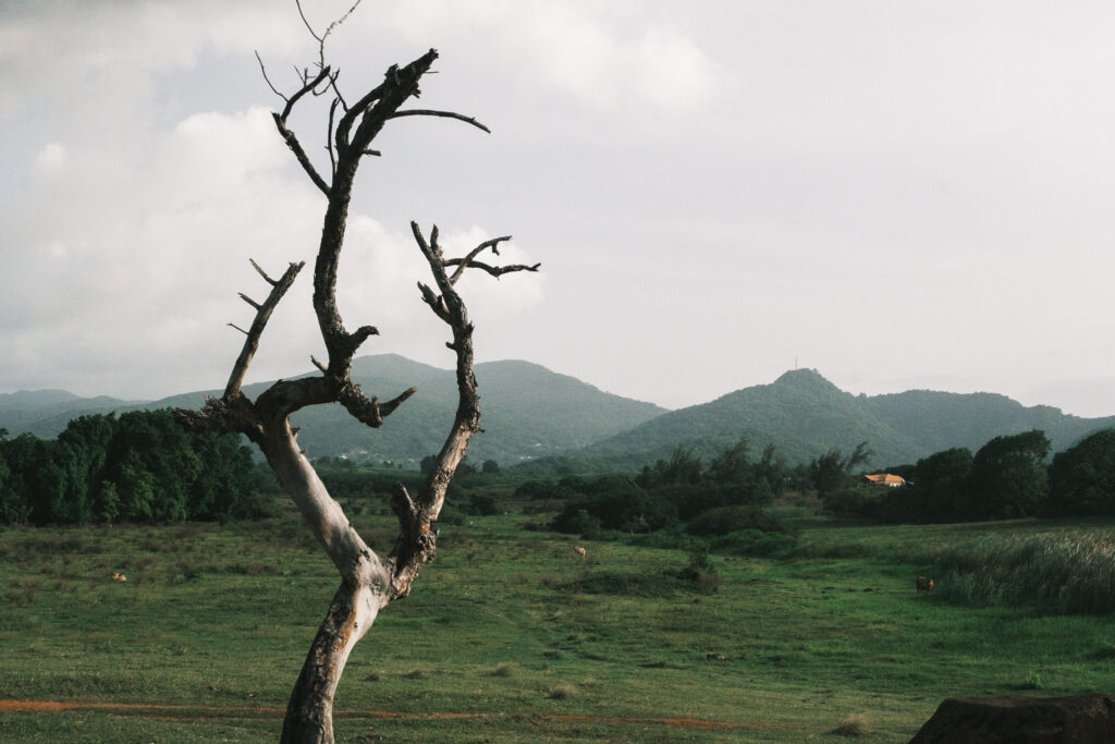 paysage guadeloupe, photo 7 sur 23