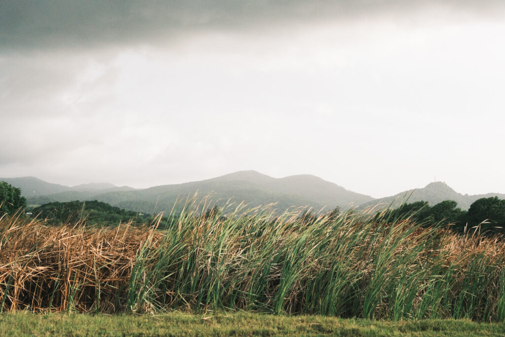 paysage guadeloupe, photo 8 sur 23