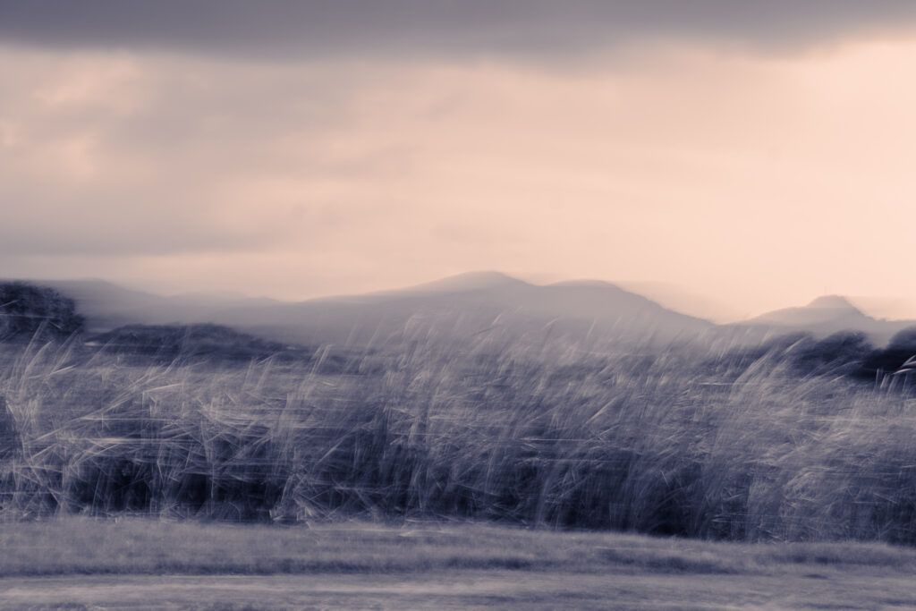 icm, photo 5 sur 5