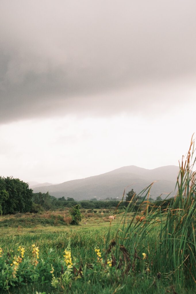 paysage guadeloupe, photo 9 sur 23