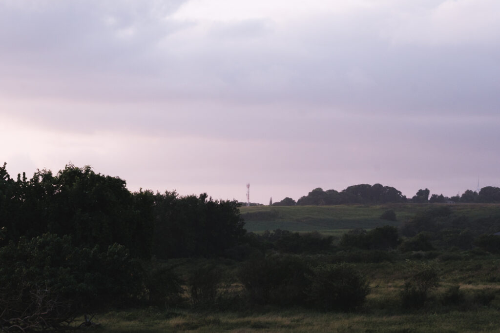 paysage guadeloupe, photo 13 sur 23