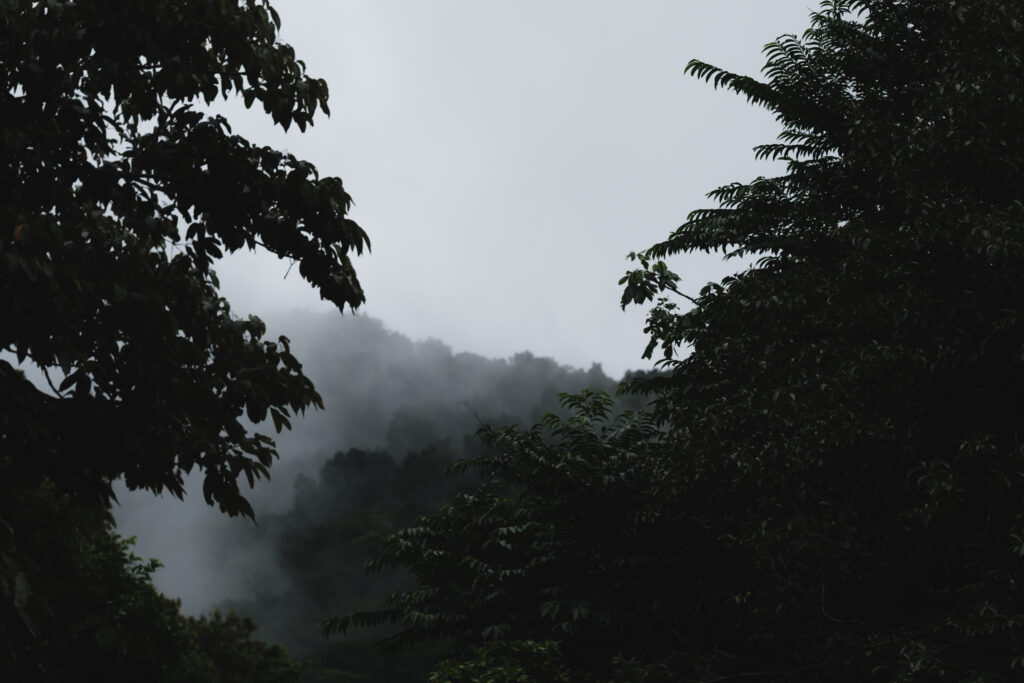paysage guadeloupe, photo 15 sur 23