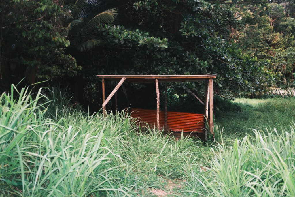 paysage guadeloupe, photo 19 sur 23
