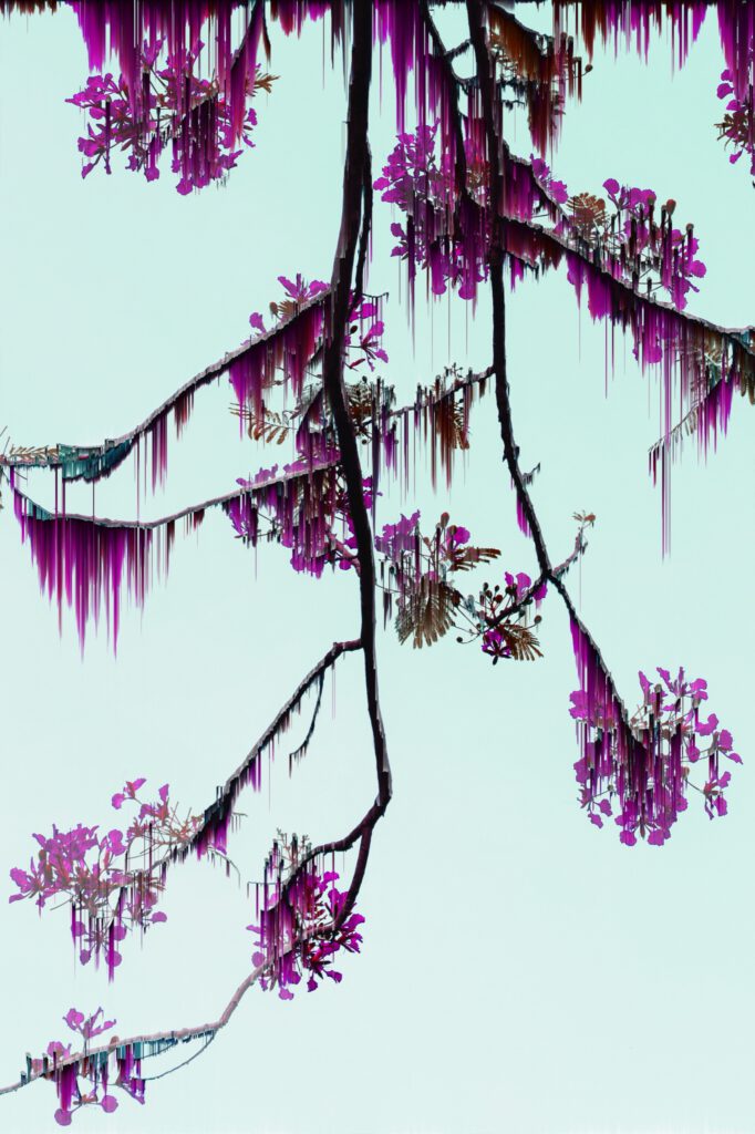 glitche, photo 7 sur 7