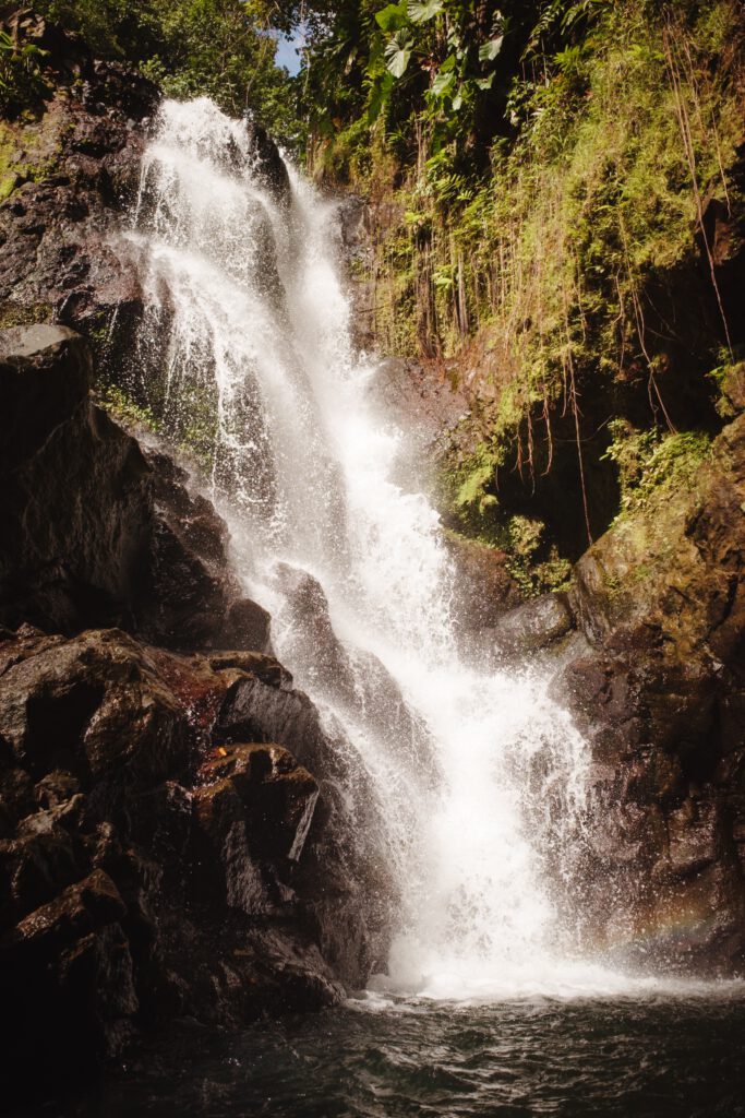 paysage guadeloupe, photo 23 sur 23